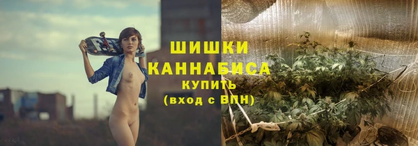 Альфа ПВП Каменка