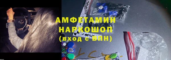 спиды Каменногорск
