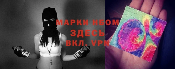спиды Каменногорск
