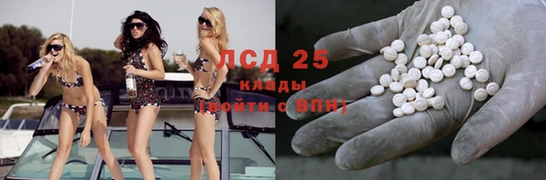 спиды Каменногорск