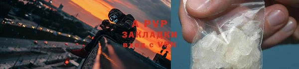 Альфа ПВП Каменка