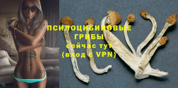 мескалин Каменск-Шахтинский