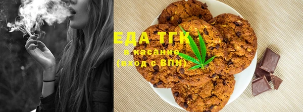 спиды Каменногорск