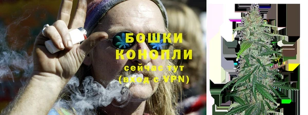 Альфа ПВП Каменка