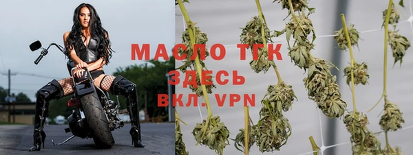 Альфа ПВП Каменка